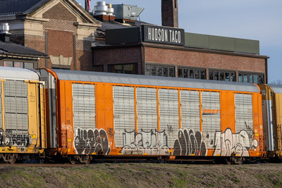 TTGX 696238