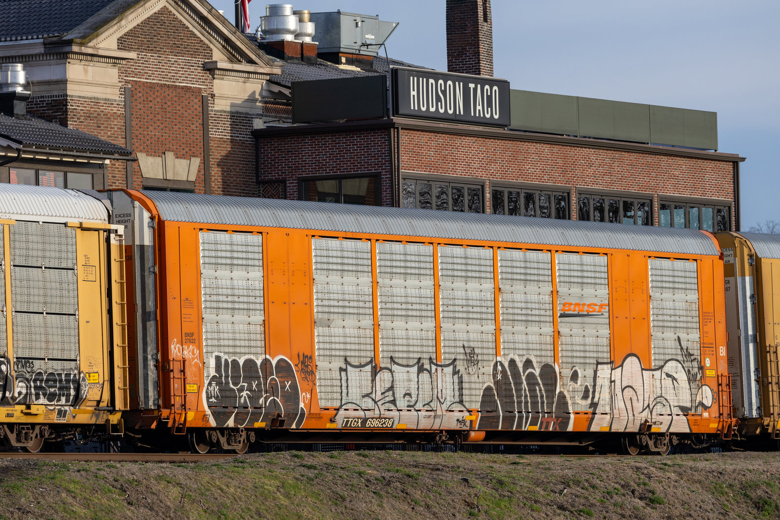 TTGX 696238