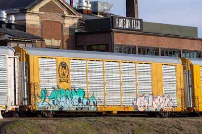 TTGX 822284