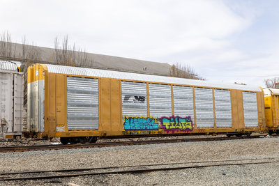 TTGX 823562
