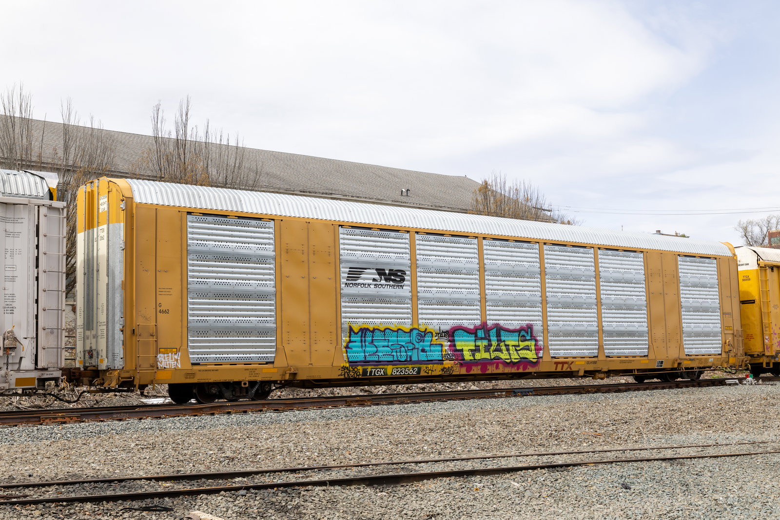 TTGX 823562