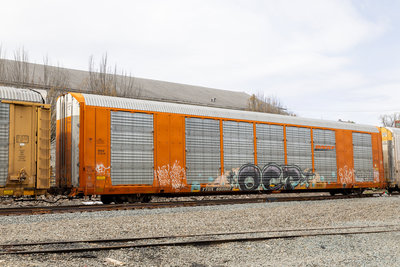 TTGX 693503