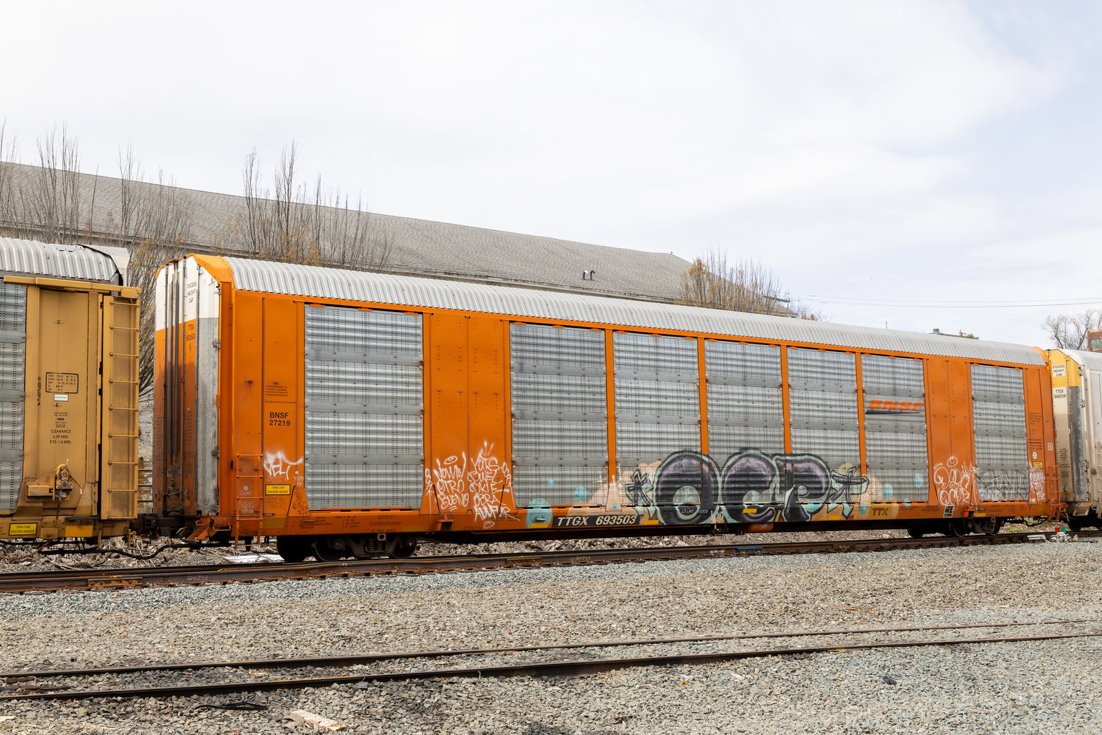 TTGX 693503