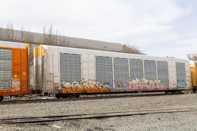 TTGX 698256