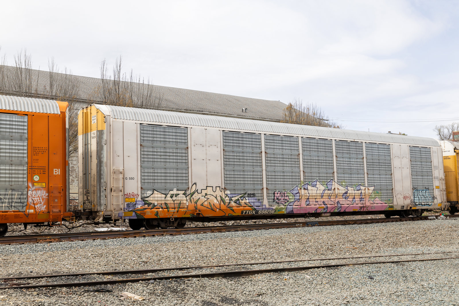 TTGX 698256