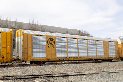 TTGX 822533