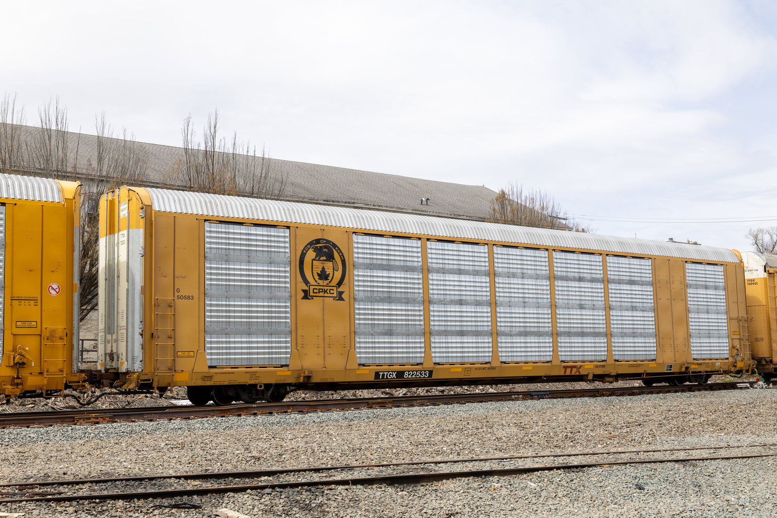 TTGX 822533