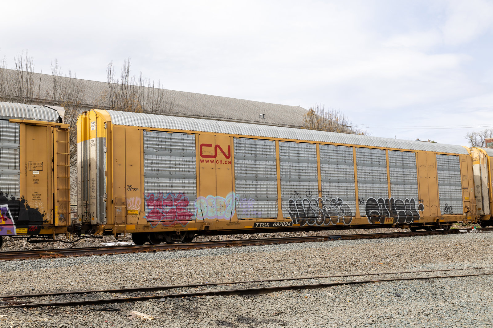 TTGX 697034