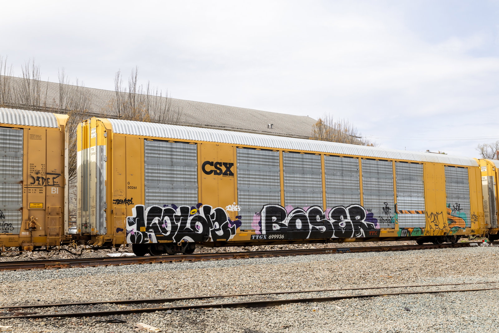 TTGX 699936