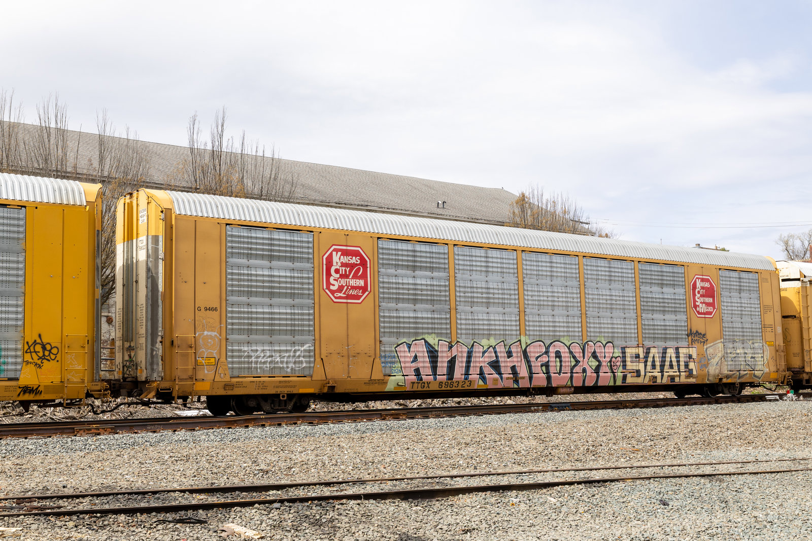 TTGX 696323