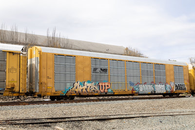 TTGX 698141