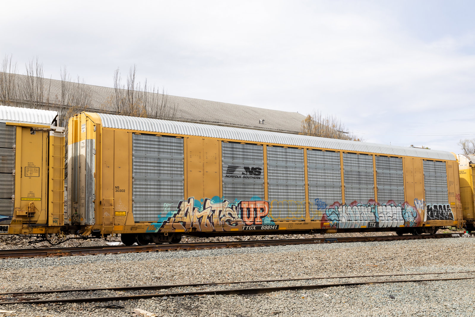 TTGX 698141