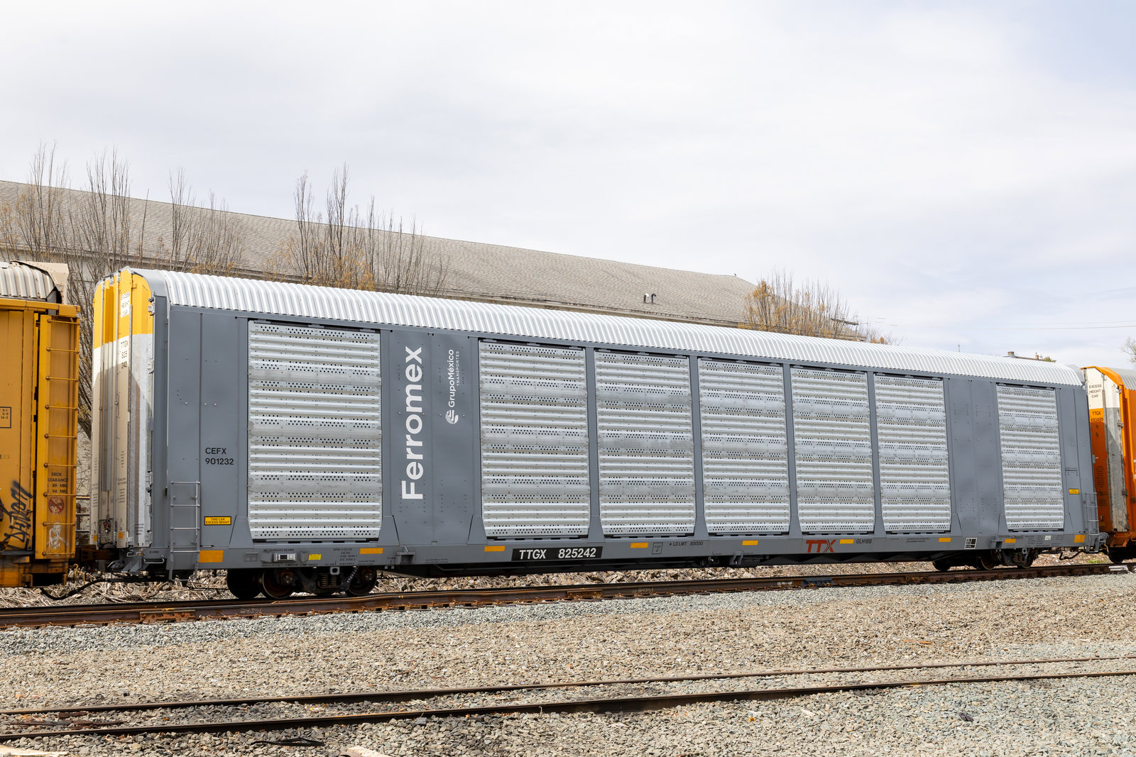 TTGX 825242