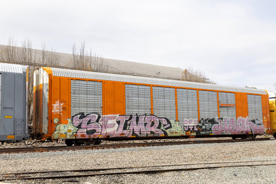 TTGX 693499