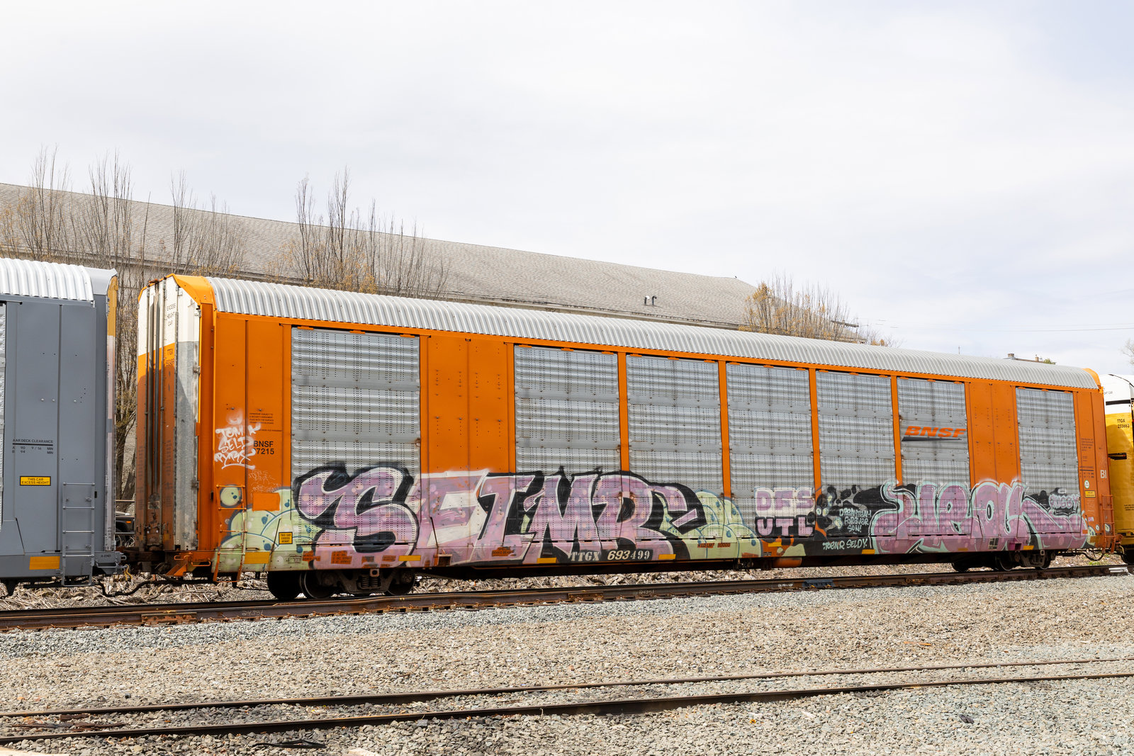 TTGX 693499