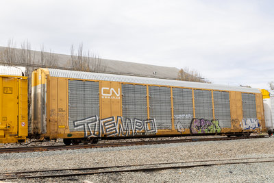 TTGX 695801