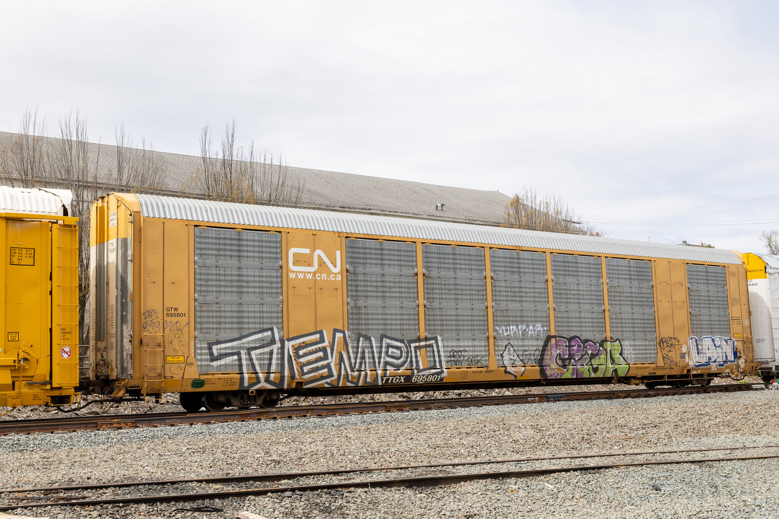 TTGX 695801