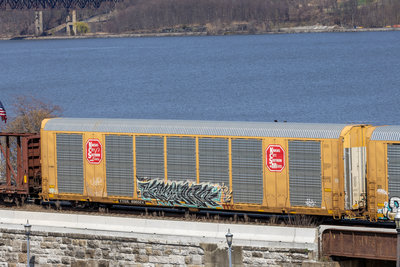 TTGX 696524