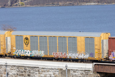 TTGX 697904