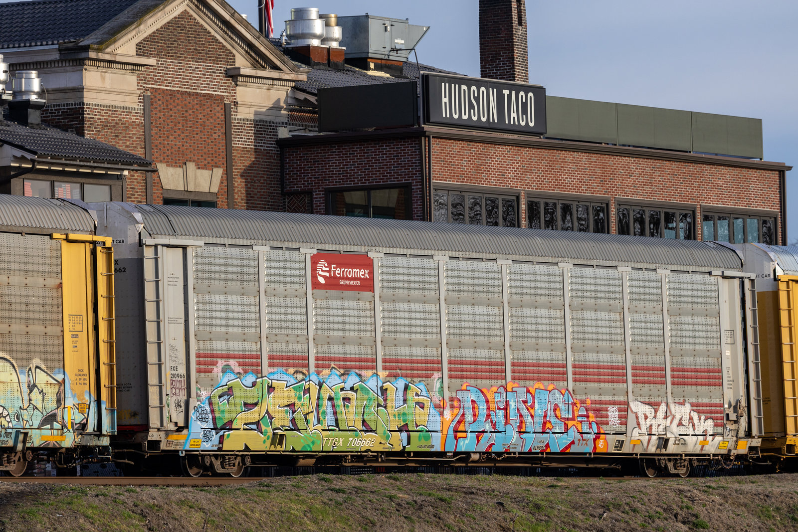 TTGX 706662