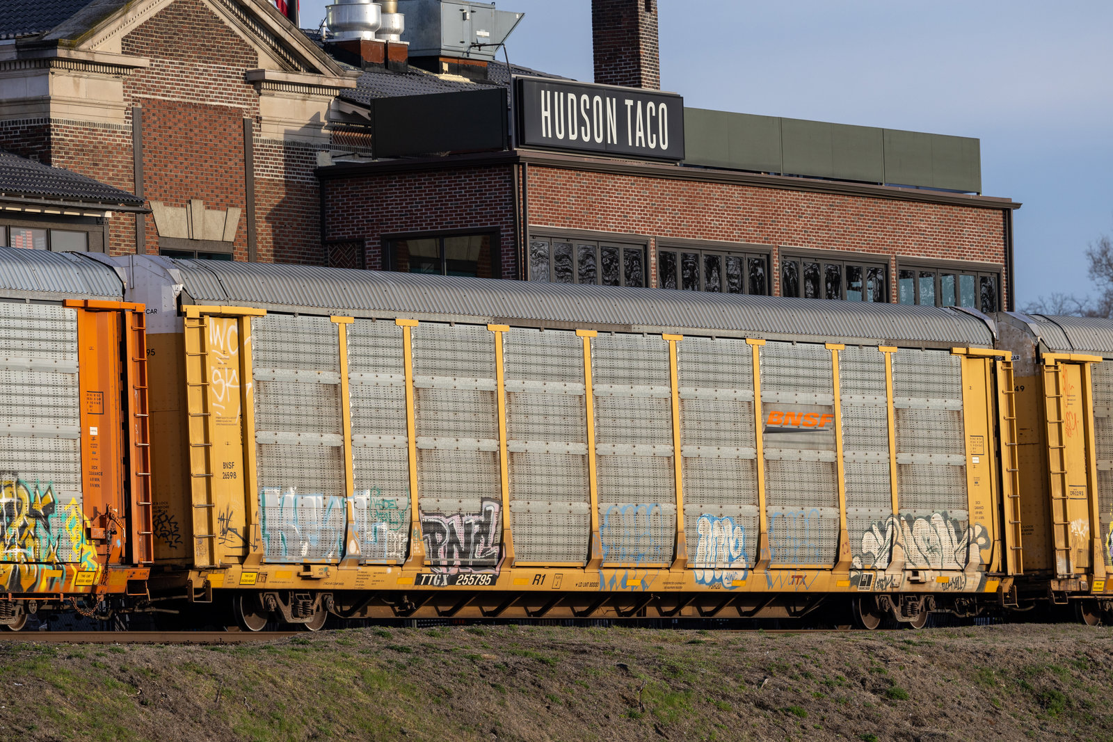 TTGX 255795