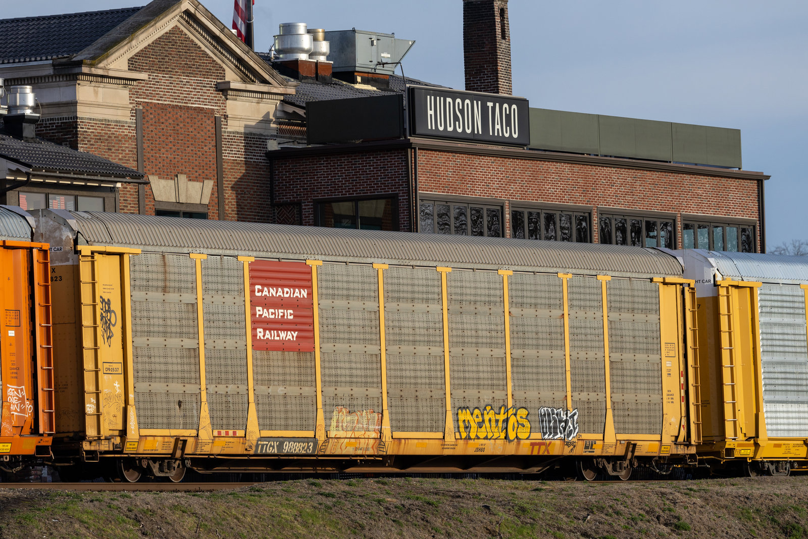 TTGX 988823