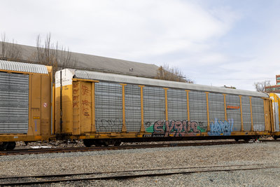 TTGX 941550