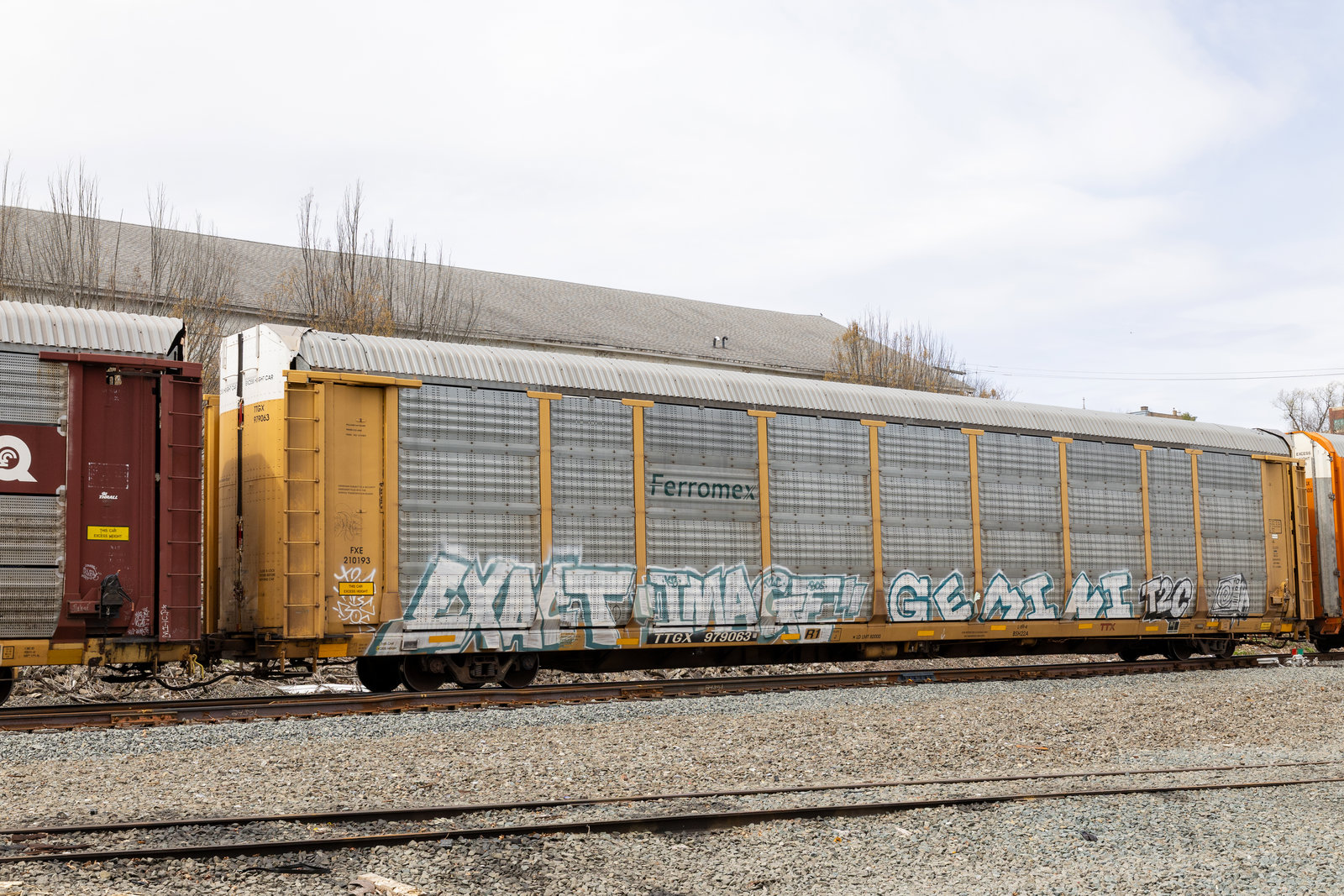 TTGX 979063
