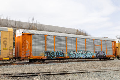 TTGX 953165