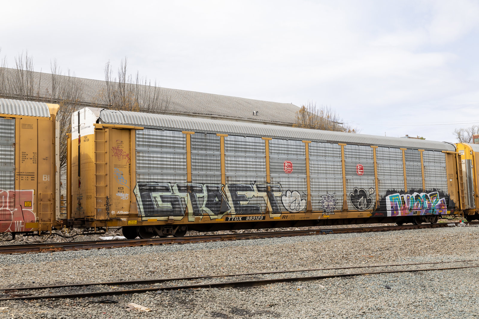 TTGX 983123