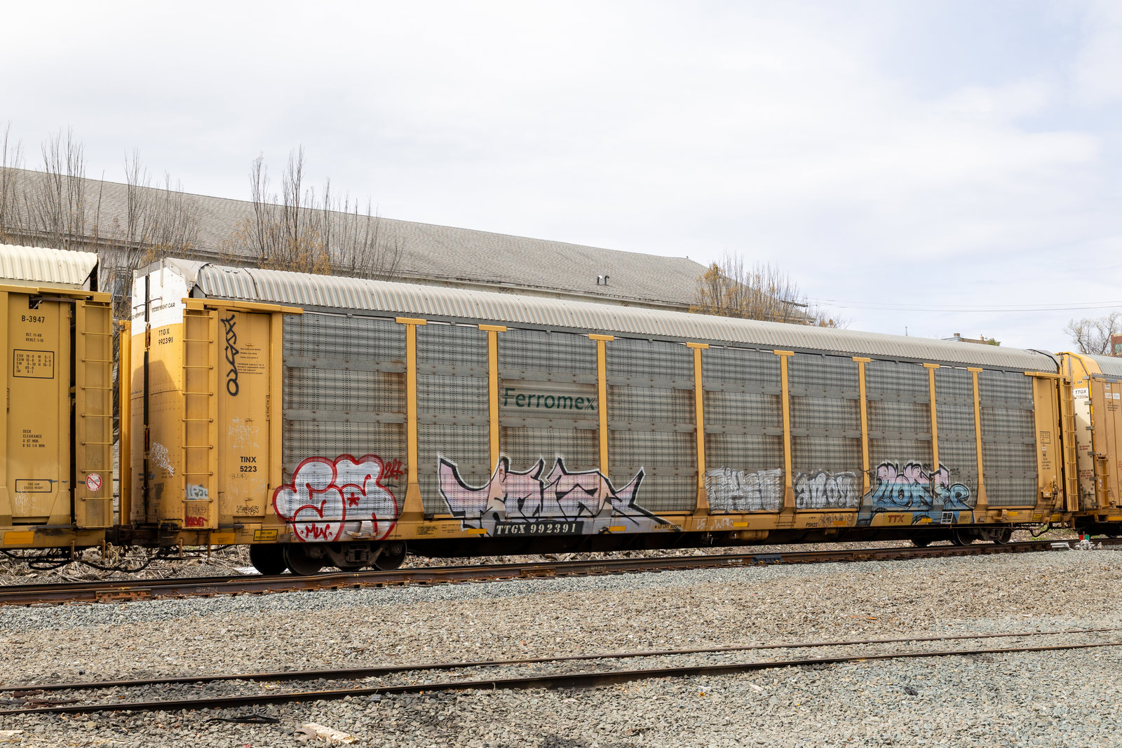 TTGX 992391