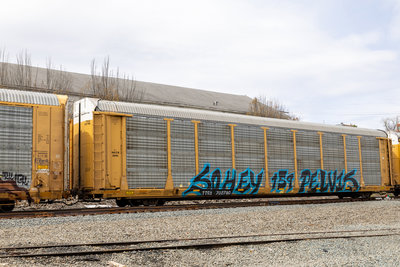 TTGX 702790