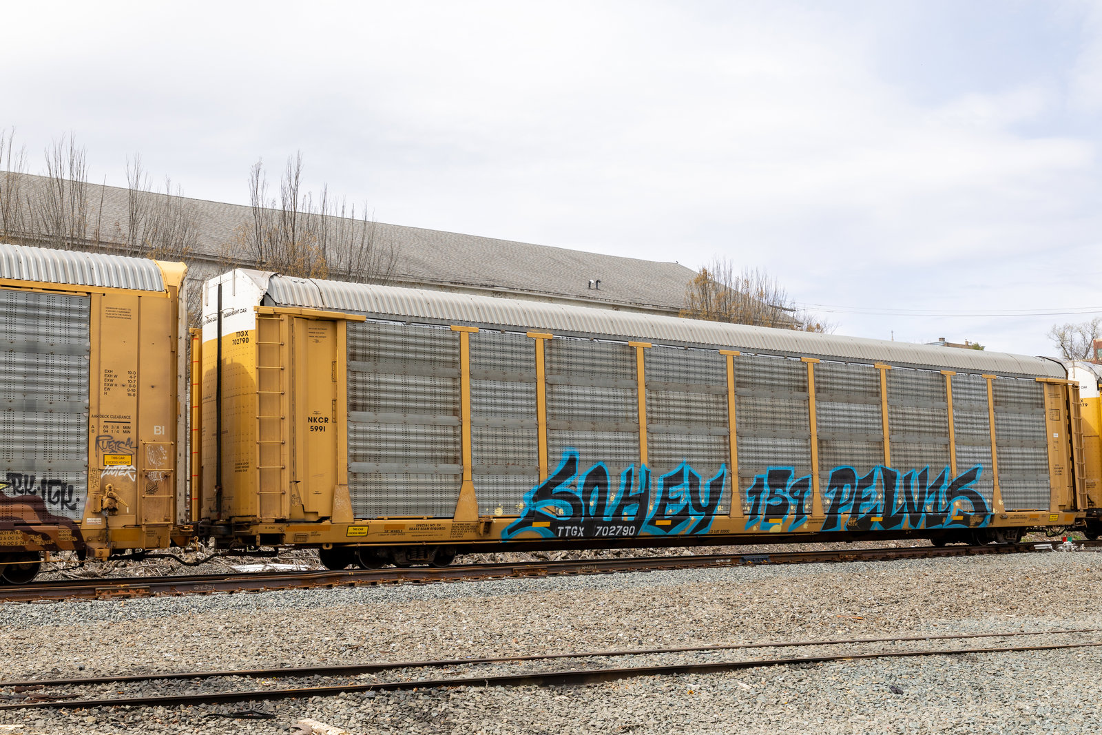 TTGX 702790