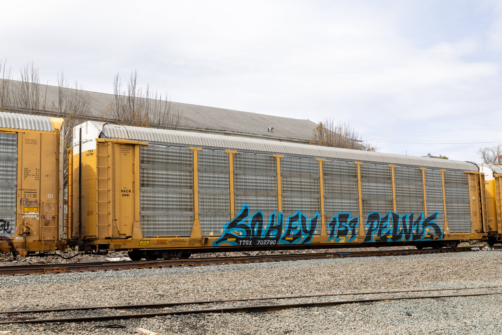 TTGX 702790