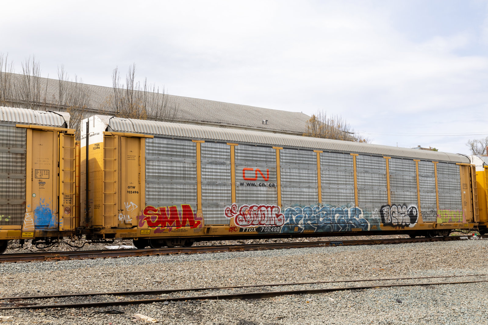 TTGX 702496