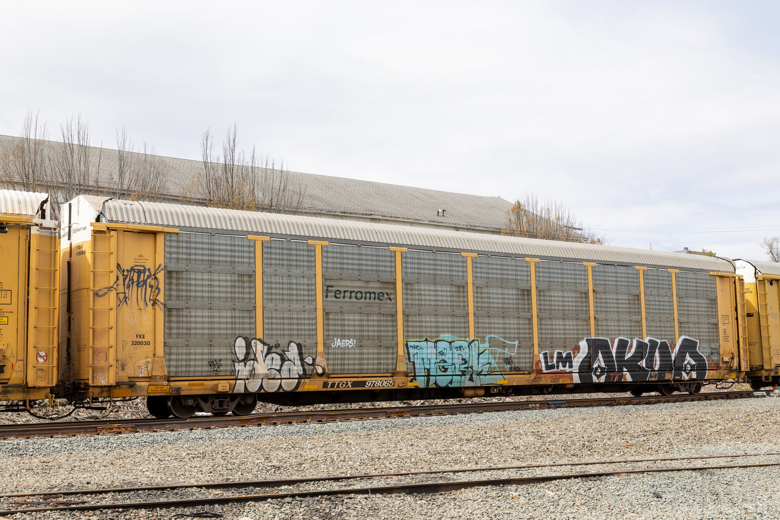 TTGX 978065