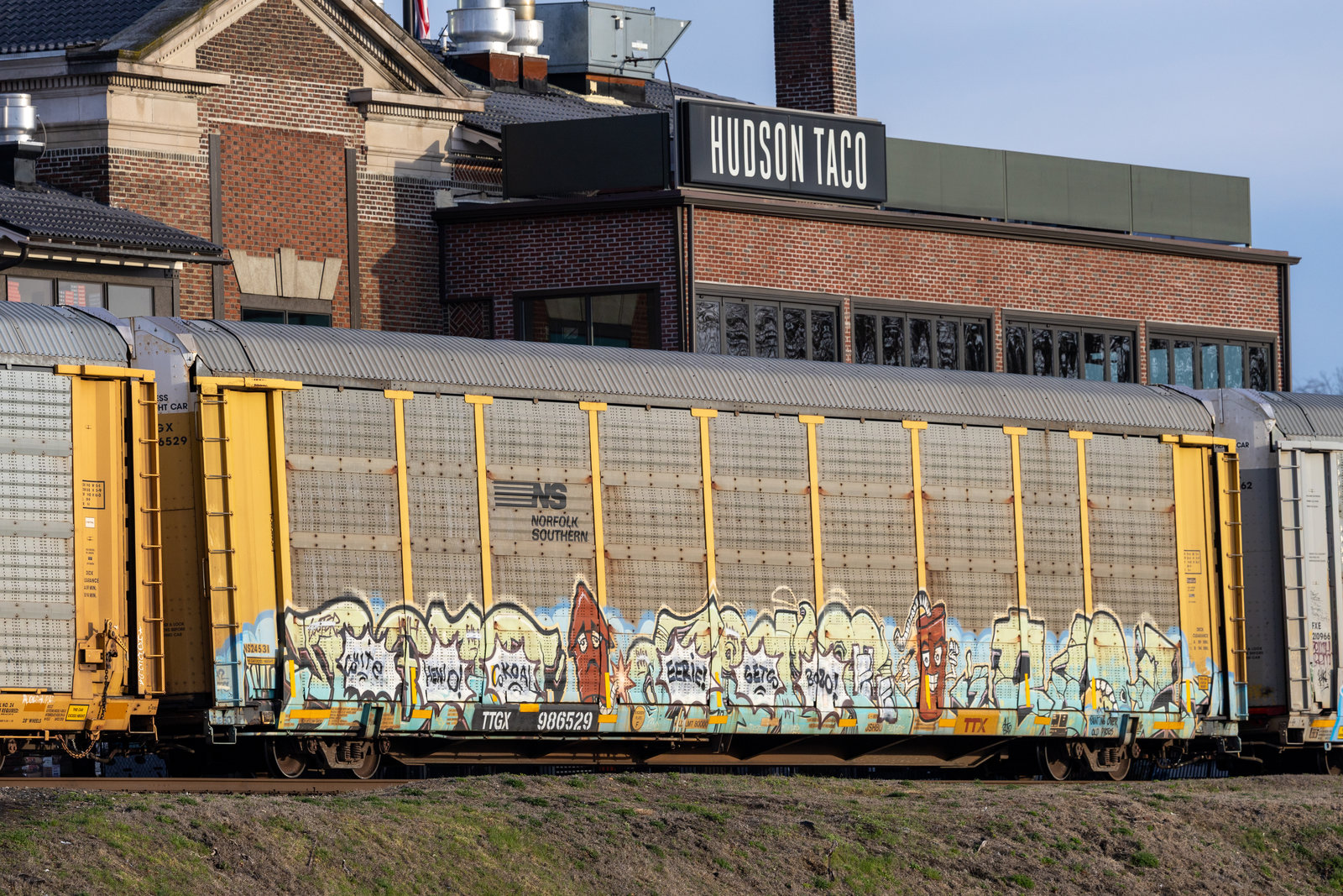 TTGX 986529