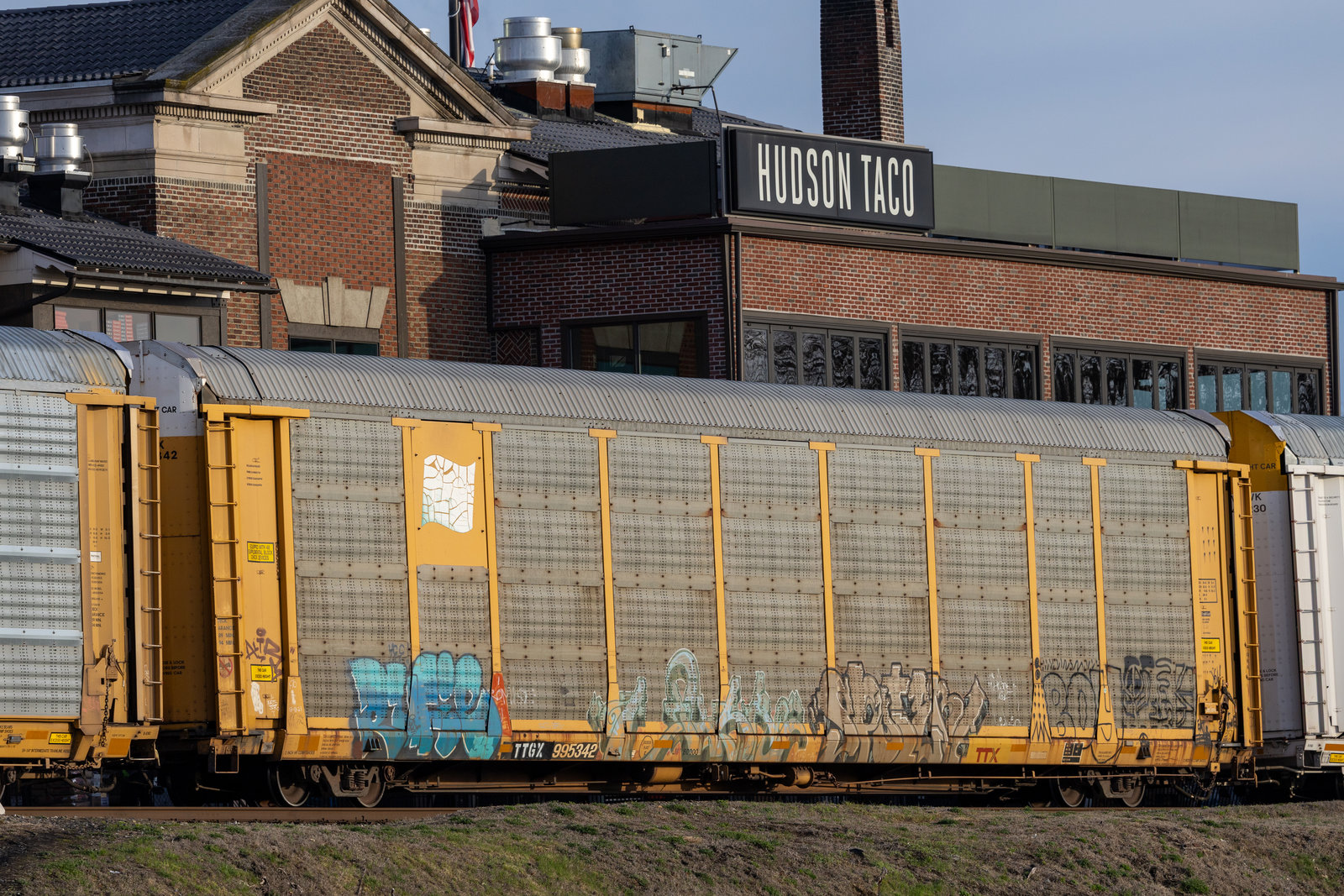 TTGX 995342