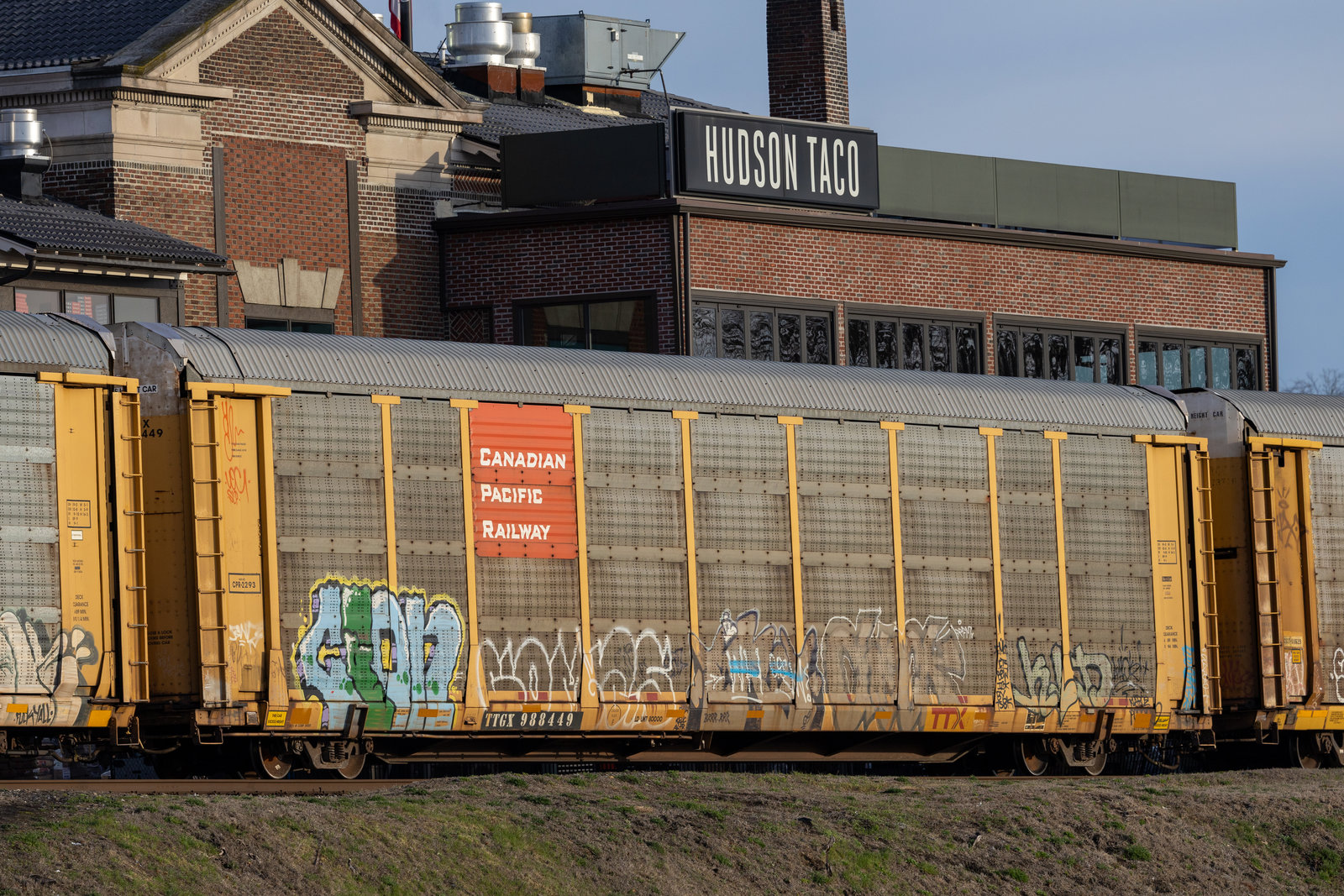 TTGX 988449