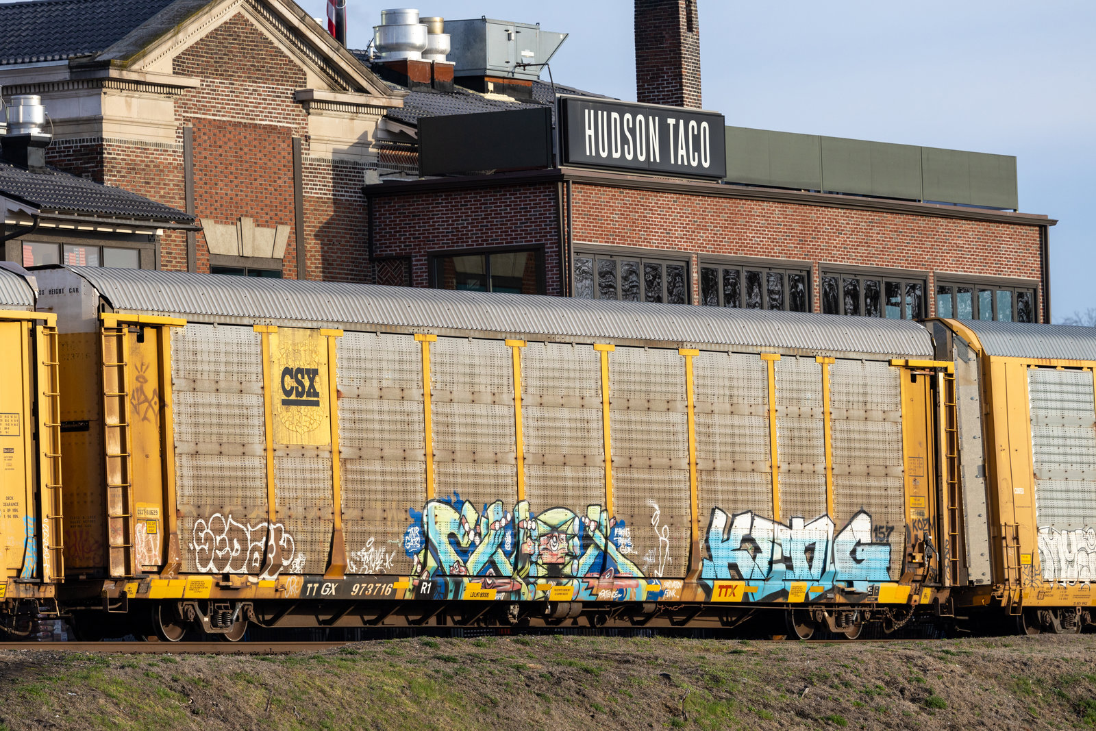 TTGX 973716