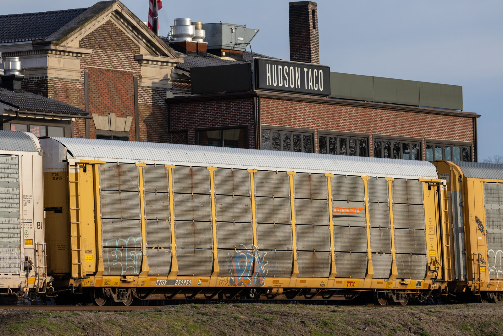 TTGX 255955