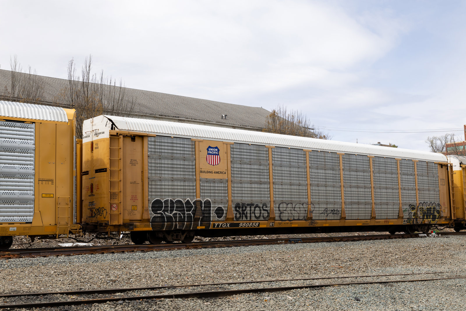 TTGX 980858