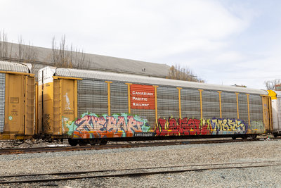 TTGX 996541