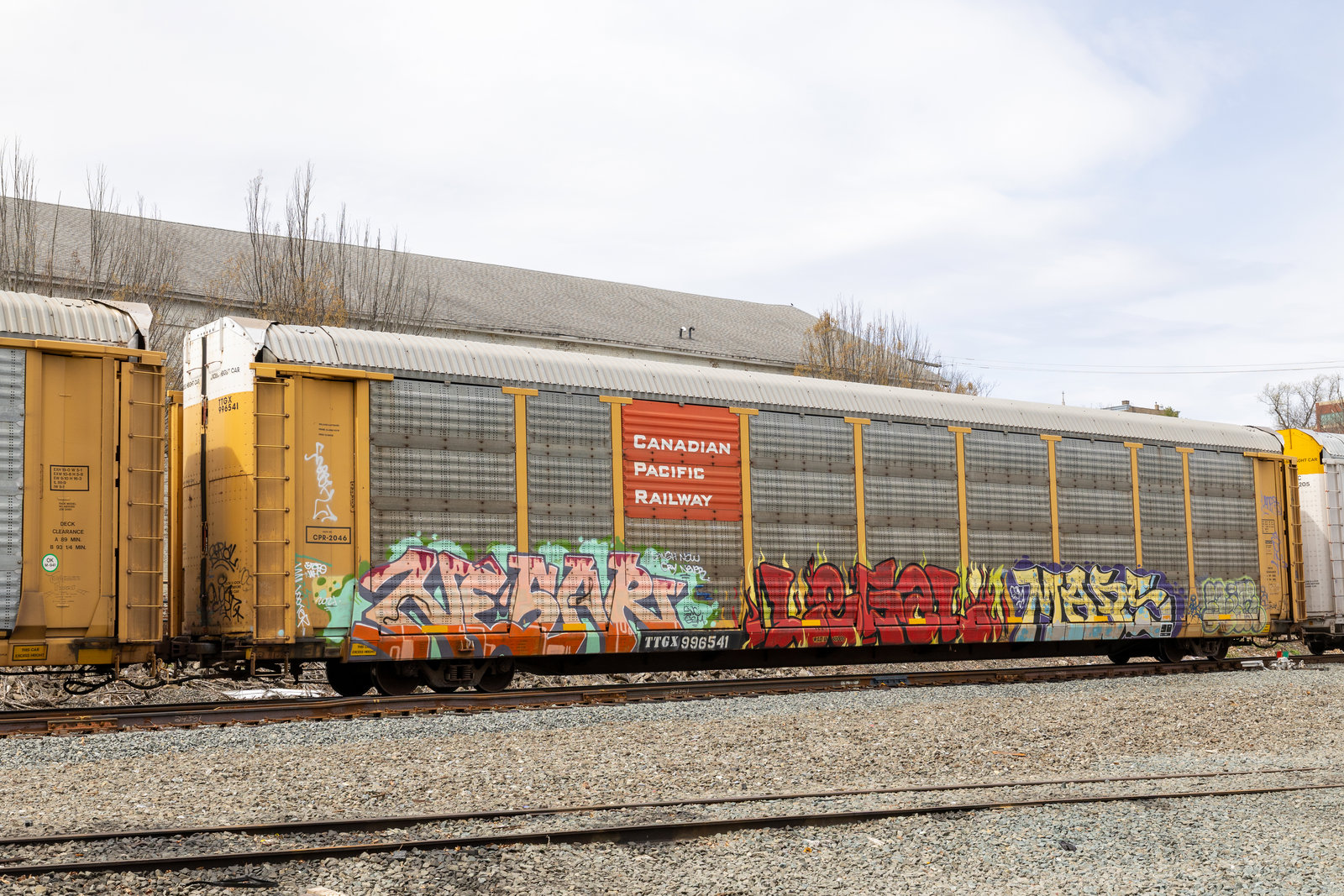 TTGX 996541