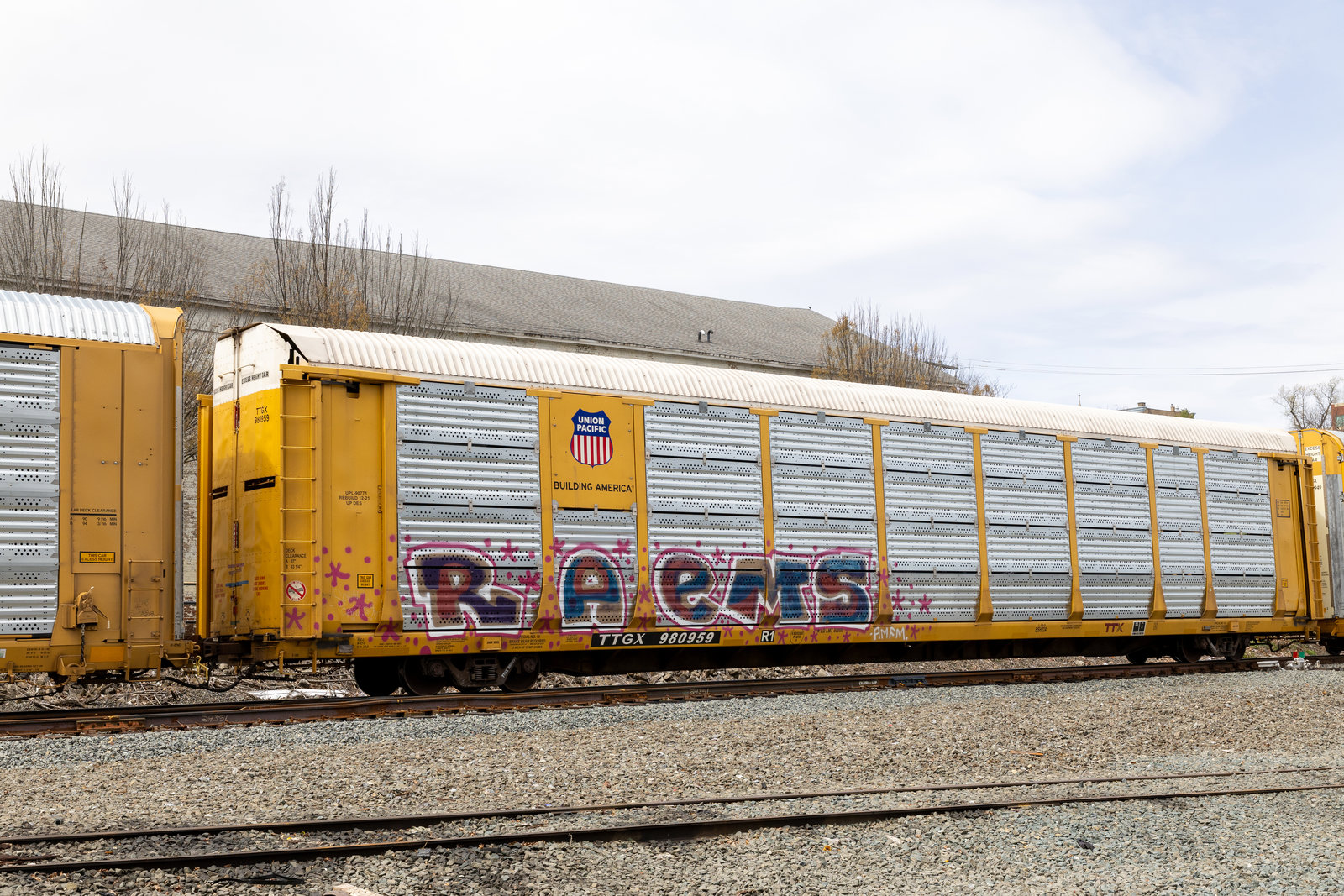 TTGX 980959