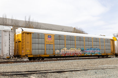 TTGX 981742