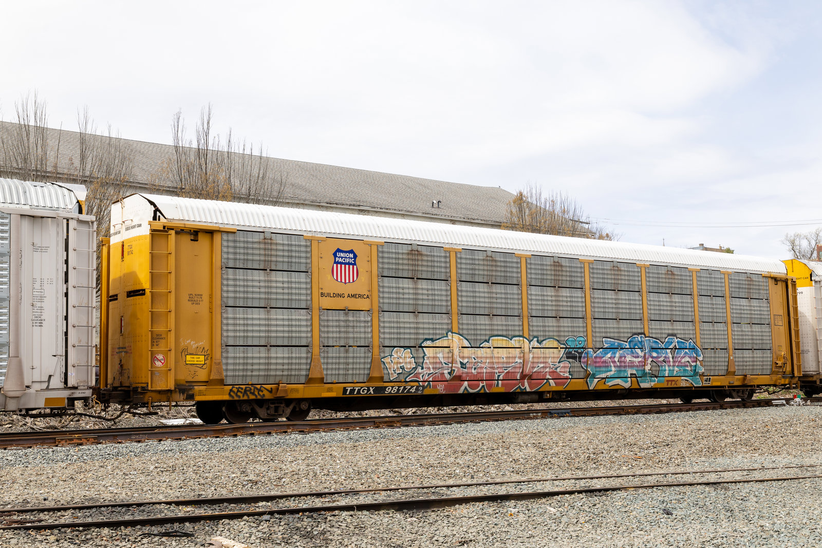 TTGX 981742