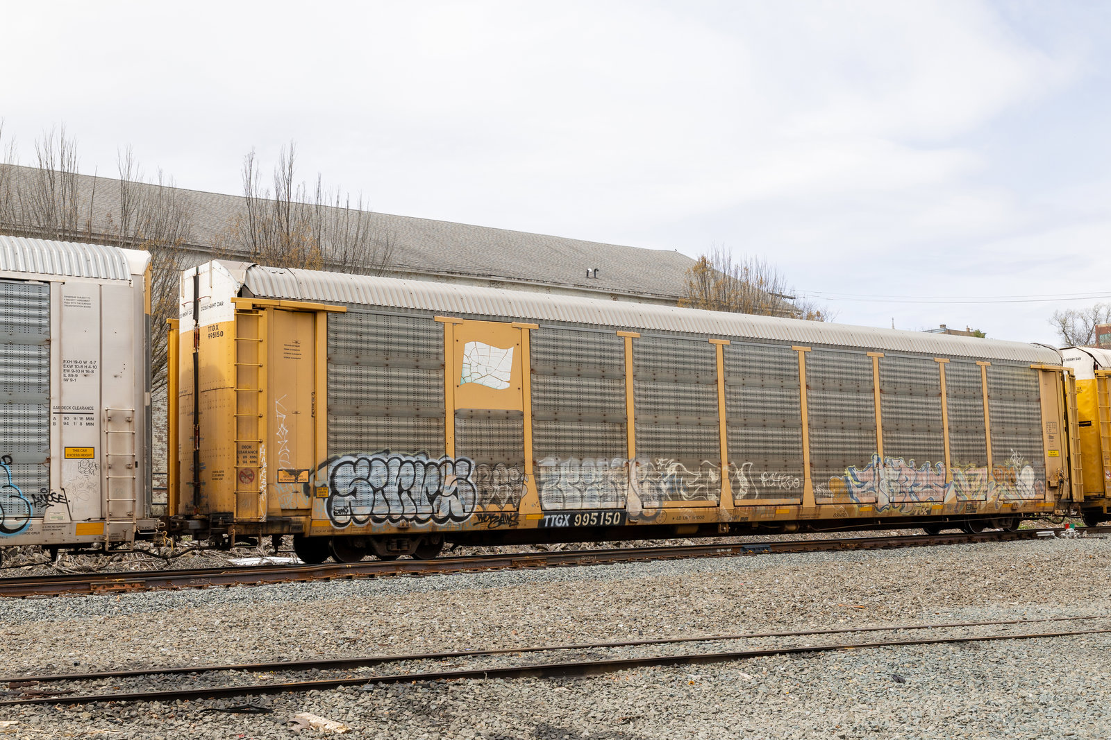 TTGX 995150