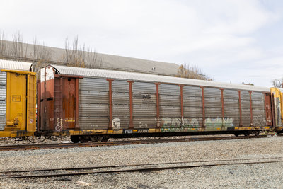 TTGX 991511