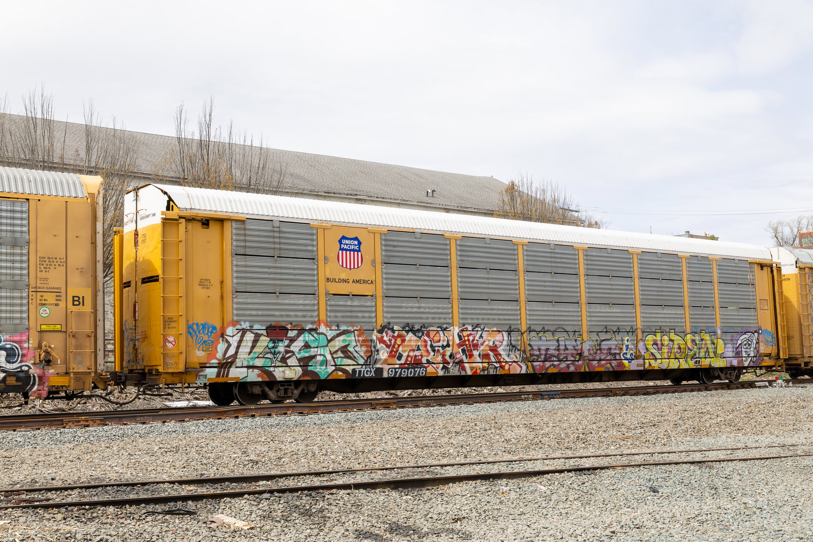 TTGX 979076